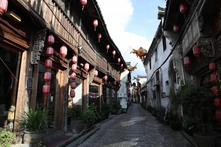 寻找沙漠珍宝